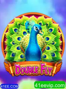 Explorando o Universo de DoubleFly: Como Jogar e as Regras Essenciais
